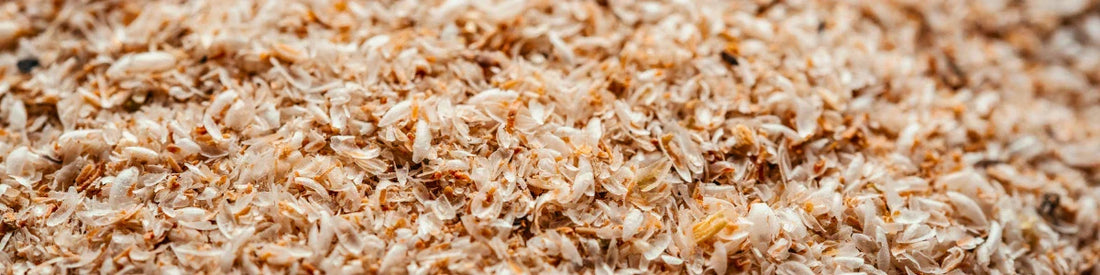 Psyllium vezels
