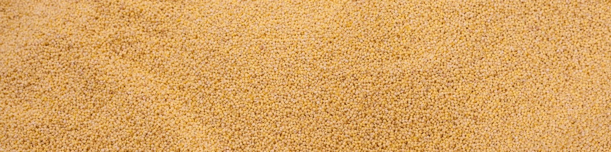 Vitamine E