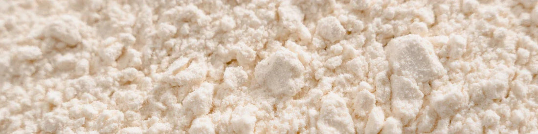 Chitosan