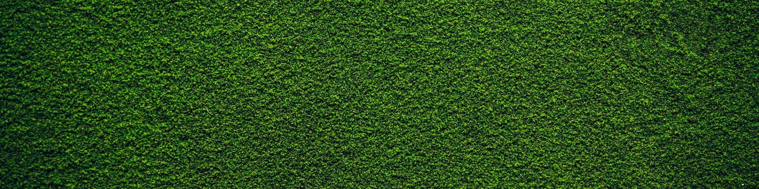 Chlorella