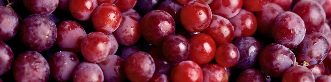 Resveratrol