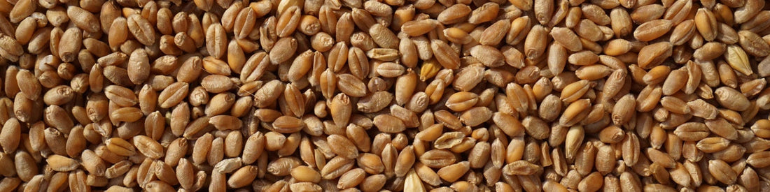 Selenium (Seleen)