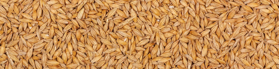 Vitamine B1