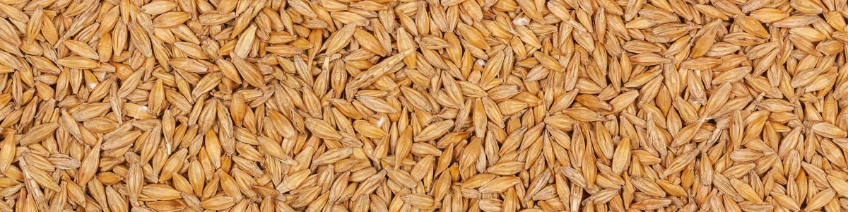 Vitamine B1