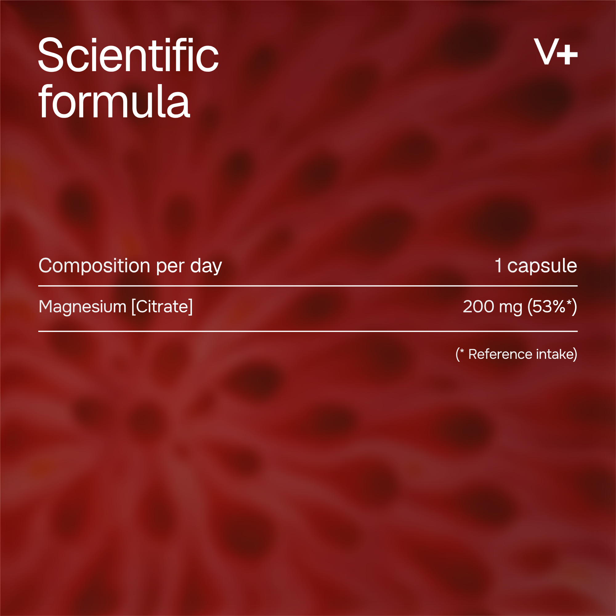 Magnesium +