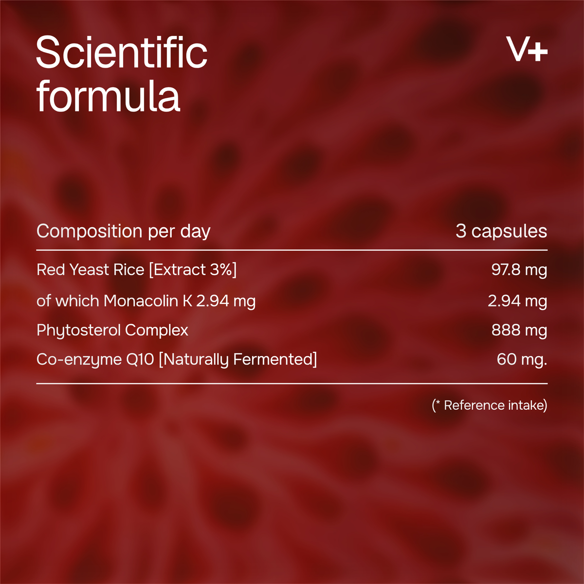 Cholesterol Support