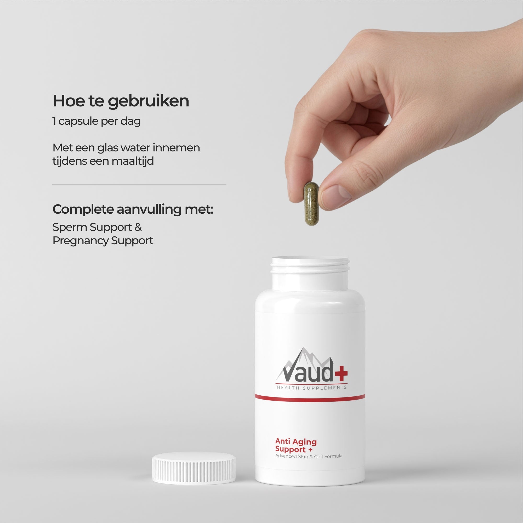 Multivitamin Pregnant